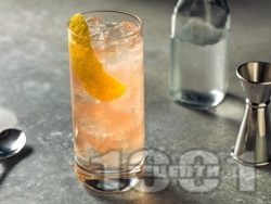  Cranberry Fizz        -   